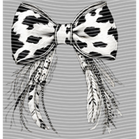 Country music-CU 1069